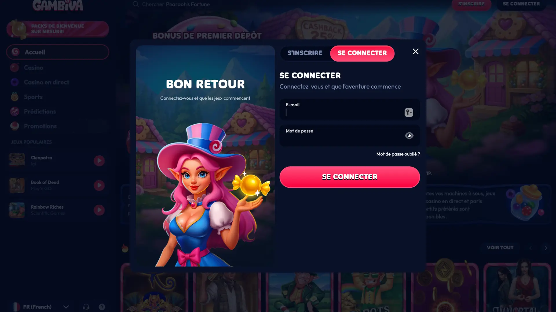 Cliquez sur le bouton ci-dessous pour ouvrir le formulaire de connexion Gambiva France.